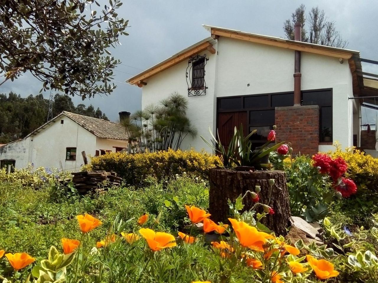 Cabanas & Glamping De Ruana Por Boyaca Paipa Exterior photo